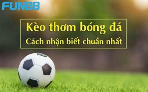 Có bao nhiêu cách và các cách nhận biết kèo thơm là gì tại Fun88