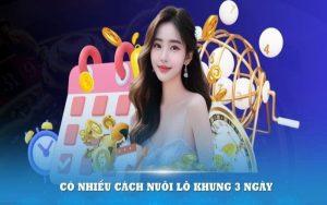 Nuôi lô khung và cách tối ưu tiền cược