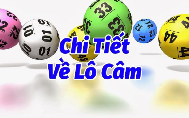 Thông tin giúp bet thủ hiểu hơn về đánh lô theo đầu câm